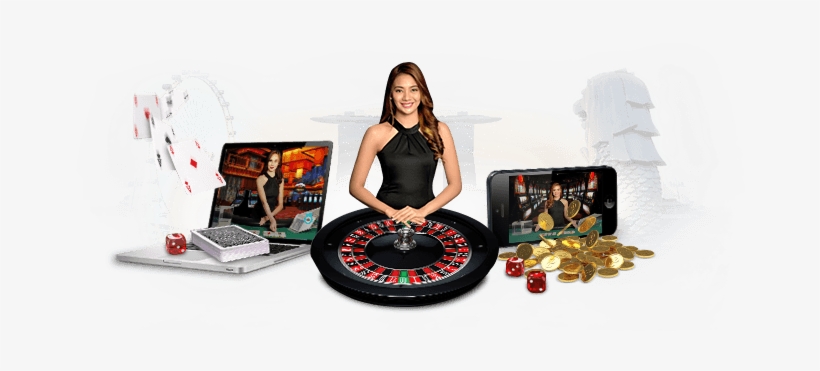 Discover the Best Online Casino to Play